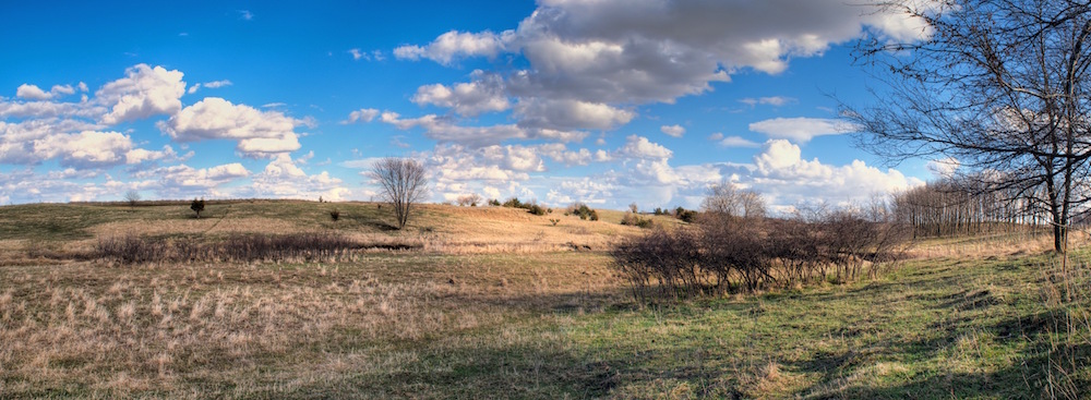 mixed landscape very horiz smaller file smaller