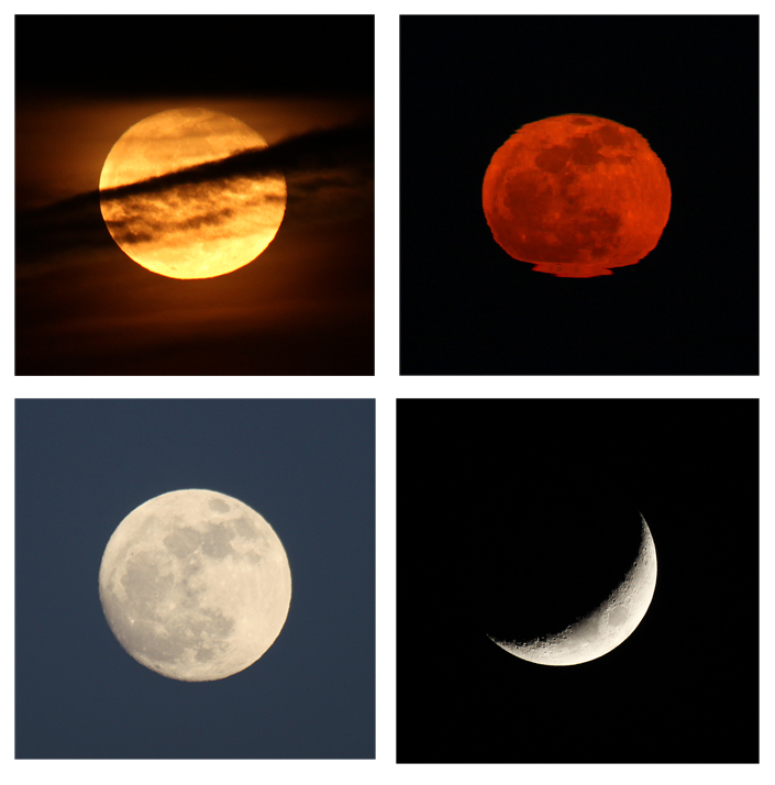 “Depending on the cloud cover or atmospheric distortion, the view of the moon phases each month can be very different.  In this series, starting at the upper left, we see it behind a thin layer of clouds. Next it appears just above the horizon, distorted by atmospheric heat and humidity. On the bottom left, we see a full moon high in the sky on a clear night. Lastly, a quarter moon high in the west makes it possible to see shadows cast by the craters on its surface.” – Carl Kurtz