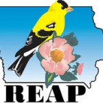 reap_color-logo