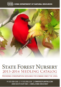 state forest nursery catalog