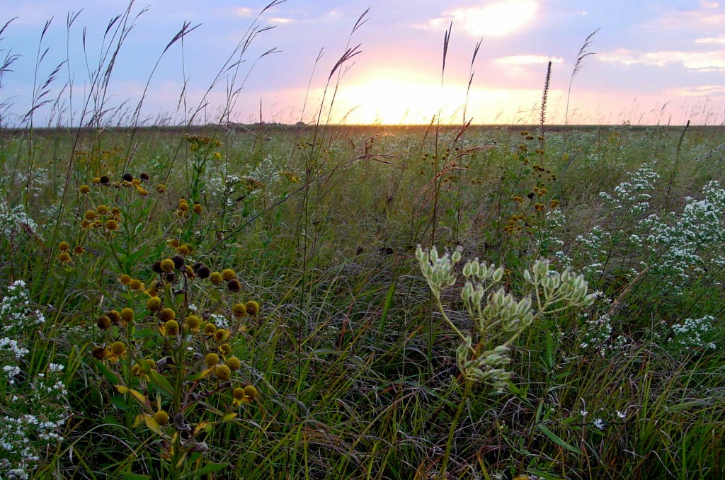 The sun sets over Wildin Prairie.