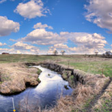 Gray Ghost Prairie