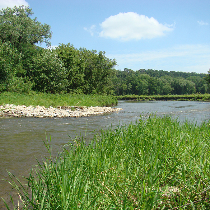 Winneshiek County Trout Streams